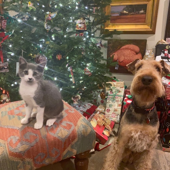 Meet your Posher, Katherine - Picture 3 of 3